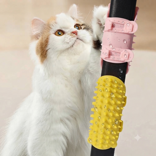 Scratch & Groom™ Cat Brush for Less Shedding